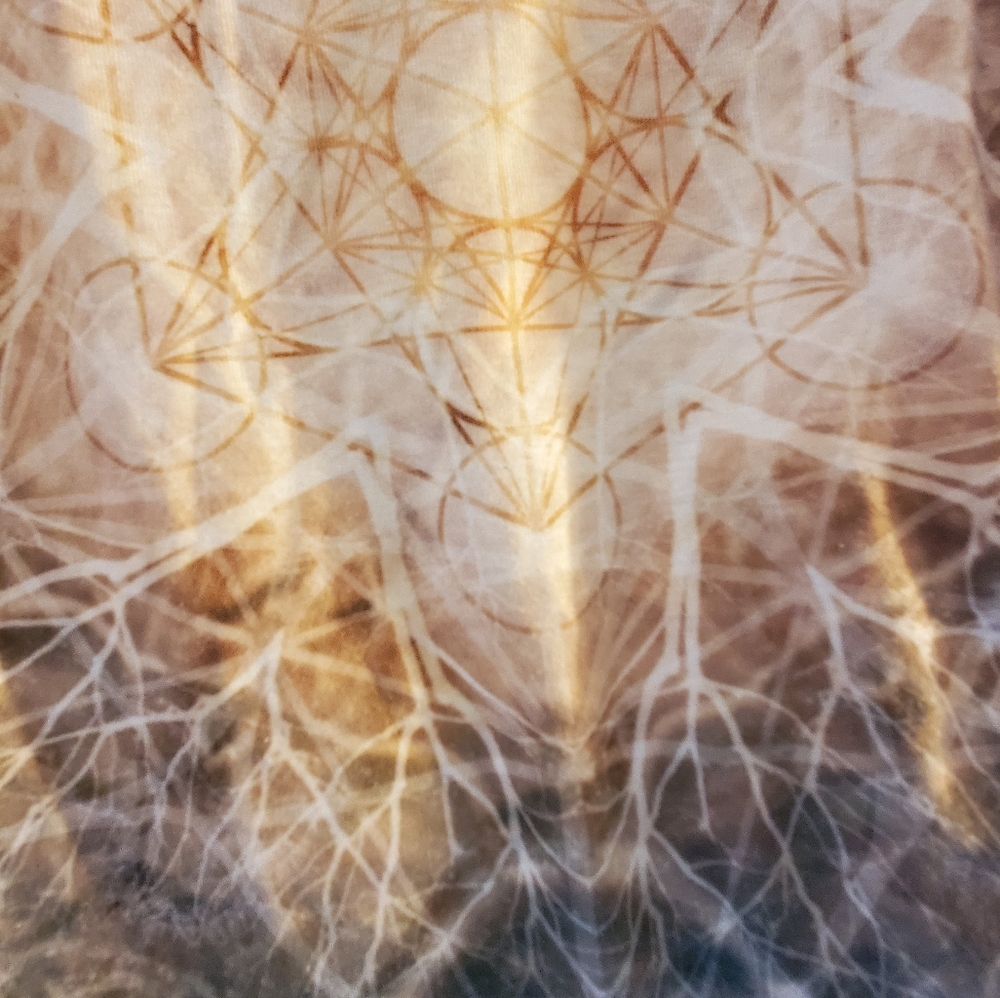 Sacred geometry crop top